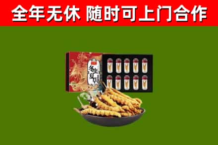 正阳县回收冬虫夏草价格